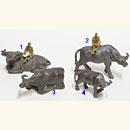 Bufali - da €. 8,90