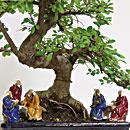 Statuine Saggi - da 16,90 €