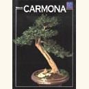 <b>Carmona Guida Pratica</b> - 6,00  €