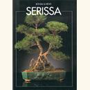<b>Serissa Guida Pratica</b> - 6,00  €