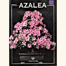 .<b>Azalea Guida Pratica</b> - 6,00 €