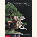 Migliori Bonsai e Suiseki - da €. 30