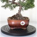 Tavolino Girevole Yasui - da 7,90 €