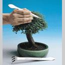 Rastrello, Pinzetta, Paletta - da 6,90 €