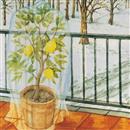 Cappucci in Tessuto Non Tessuto (TNT) - 3,90 €