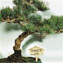 Casette Segnanome - 4,90 €