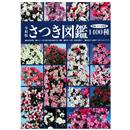 Catalogo Satsuki Bonsai - 45,00 €