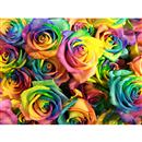 Coloranti per assorbimento - Fiori & Fronde - da 19,00 €