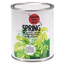 SPRING emulsione lucidante  concentrata - 29,90 €