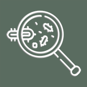 Malattie e parassiti