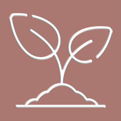 Metodi di propagazione