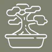 Stili Bonsai